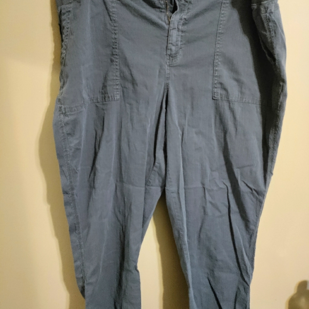 22w Gray Capris